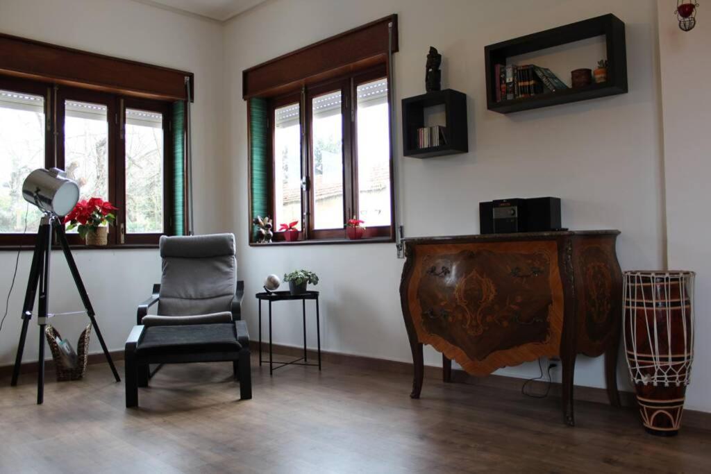 Vila House With Pool And Garden In Esmoriz Near Porto Exteriér fotografie
