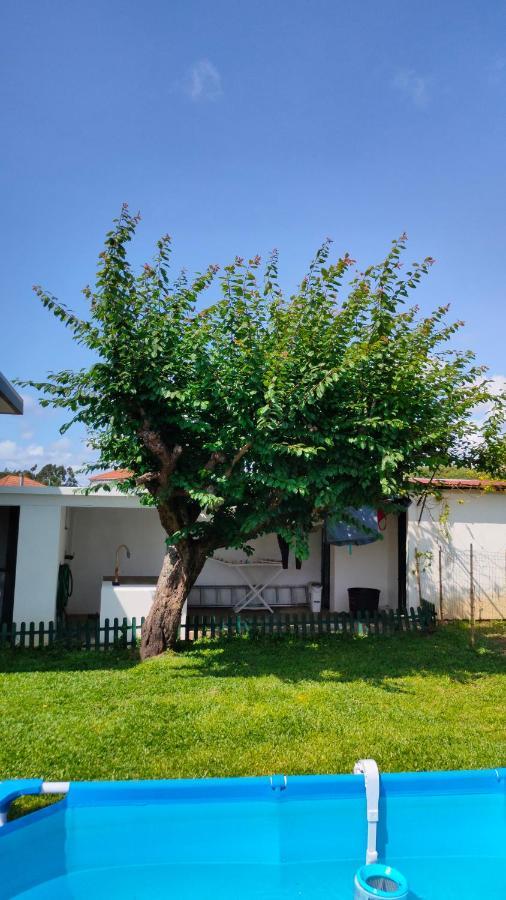 Vila House With Pool And Garden In Esmoriz Near Porto Exteriér fotografie